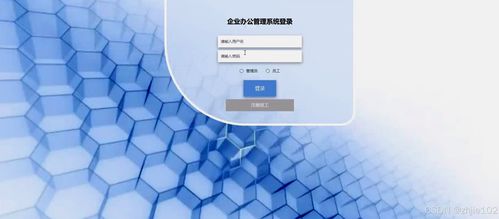 基于Django Vue的企業(yè)辦公管理系統(tǒng)設(shè)計(jì)與實(shí)現(xiàn) 計(jì)算機(jī)畢設(shè)新思路